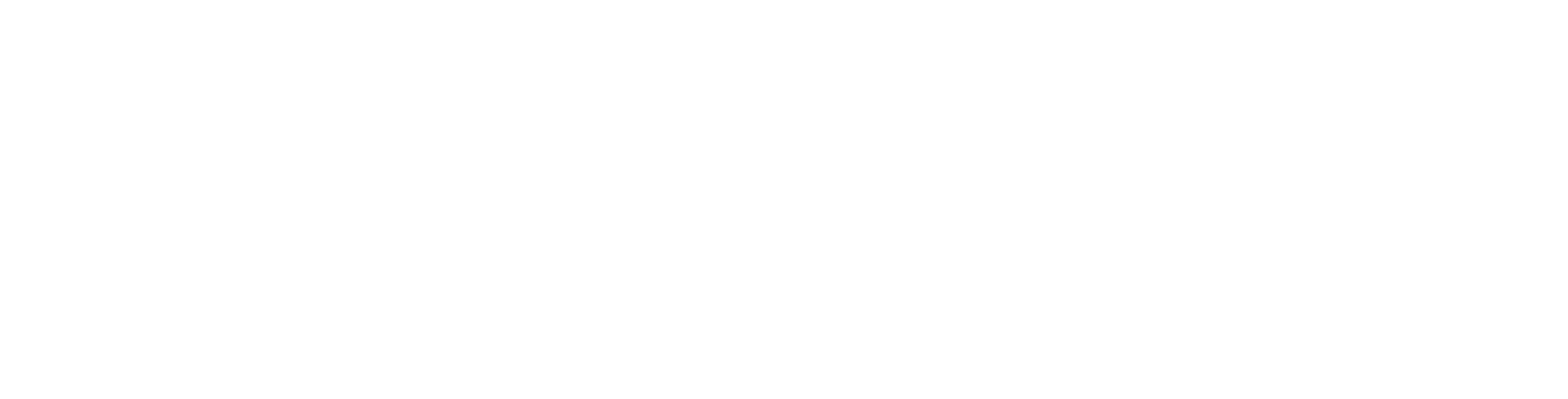 Logo PAIEP-USACH